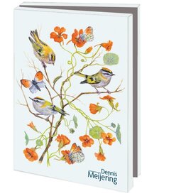 Kaartenmapje met env, klein: Birds & Flowers, Dennis Meijering