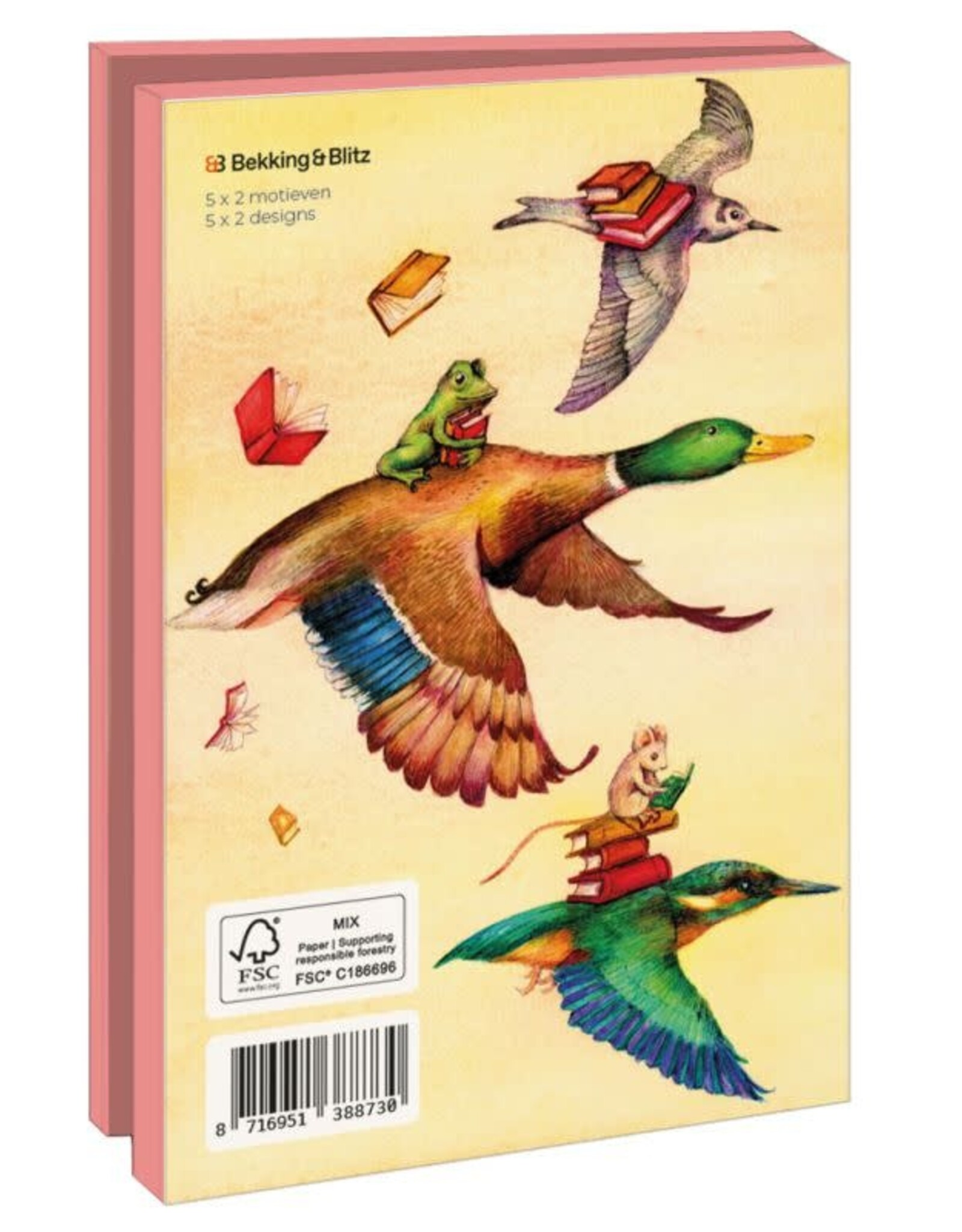 Kaartenmapje met env, klein: Books, Gea Valk