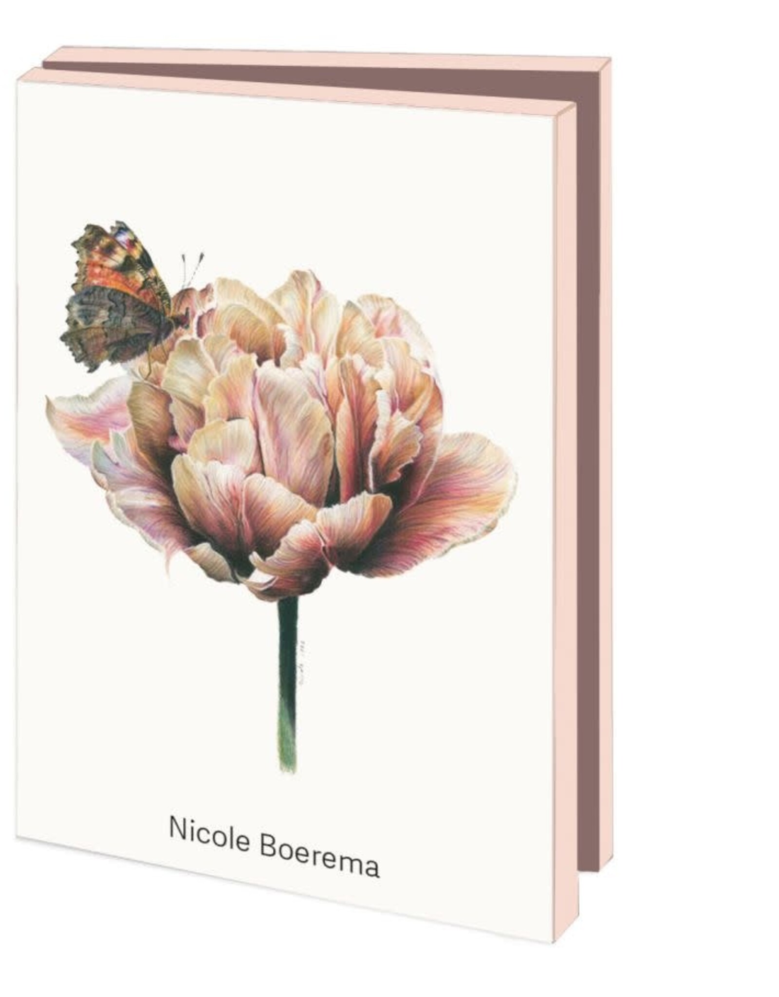 Kaartenmapje met env, klein: Vlinders, Nicole Boerema