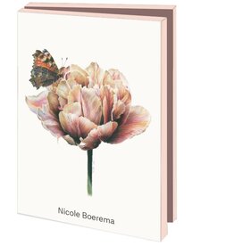 Kaartenmapje met env, klein: Vlinders, Nicole Boerema