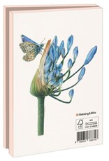 Kaartenmapje met env, klein: Vlinders, Nicole Boerema