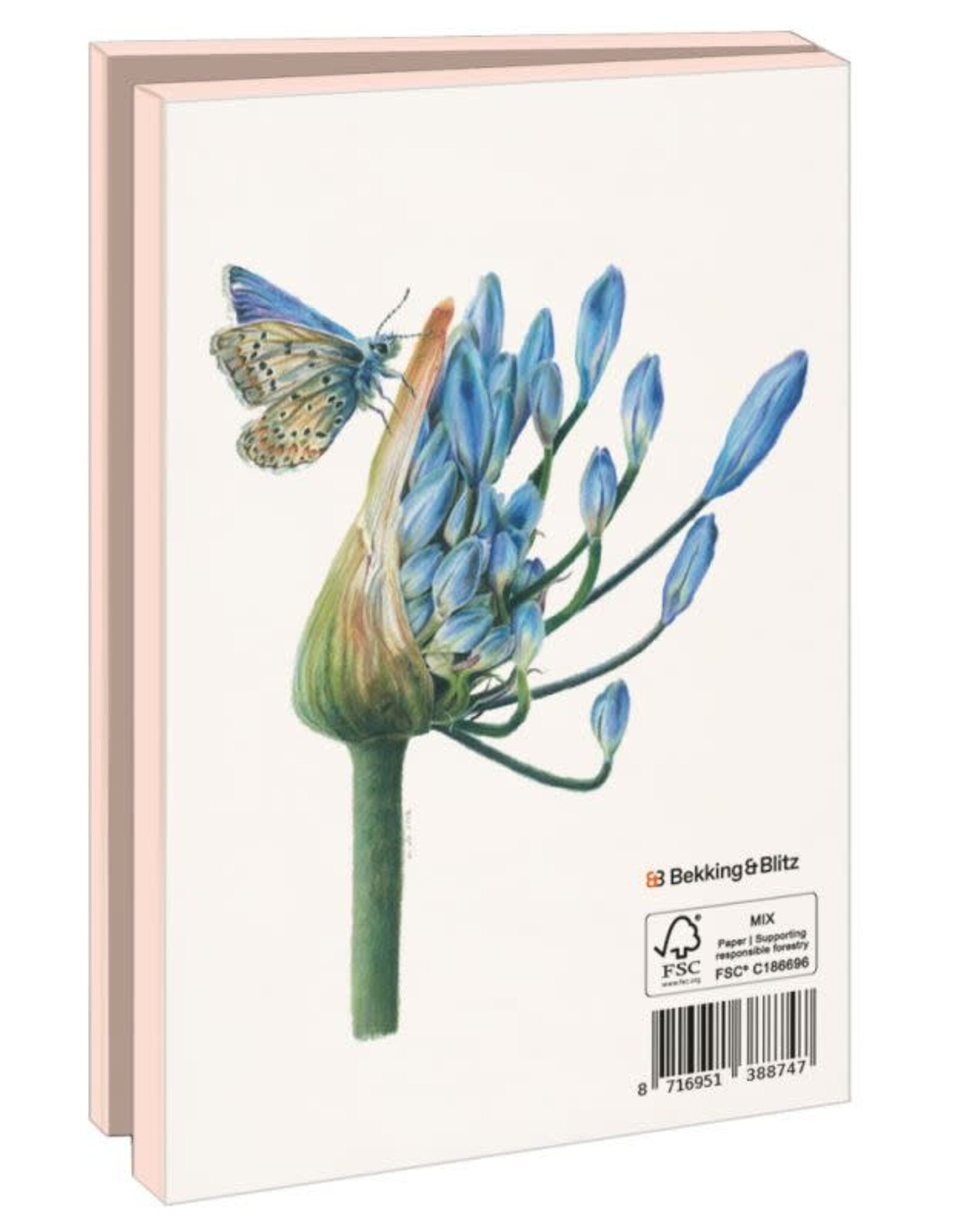 Kaartenmapje met env, klein: Vlinders, Nicole Boerema