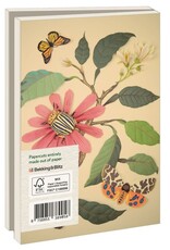Kaartenmapje met env, klein: Flowers and insects, Geertje Aalders