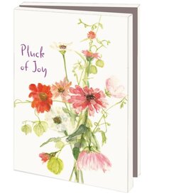 Kaartenmapje met env, klein: Pluck of Joy, Janny van den Broek