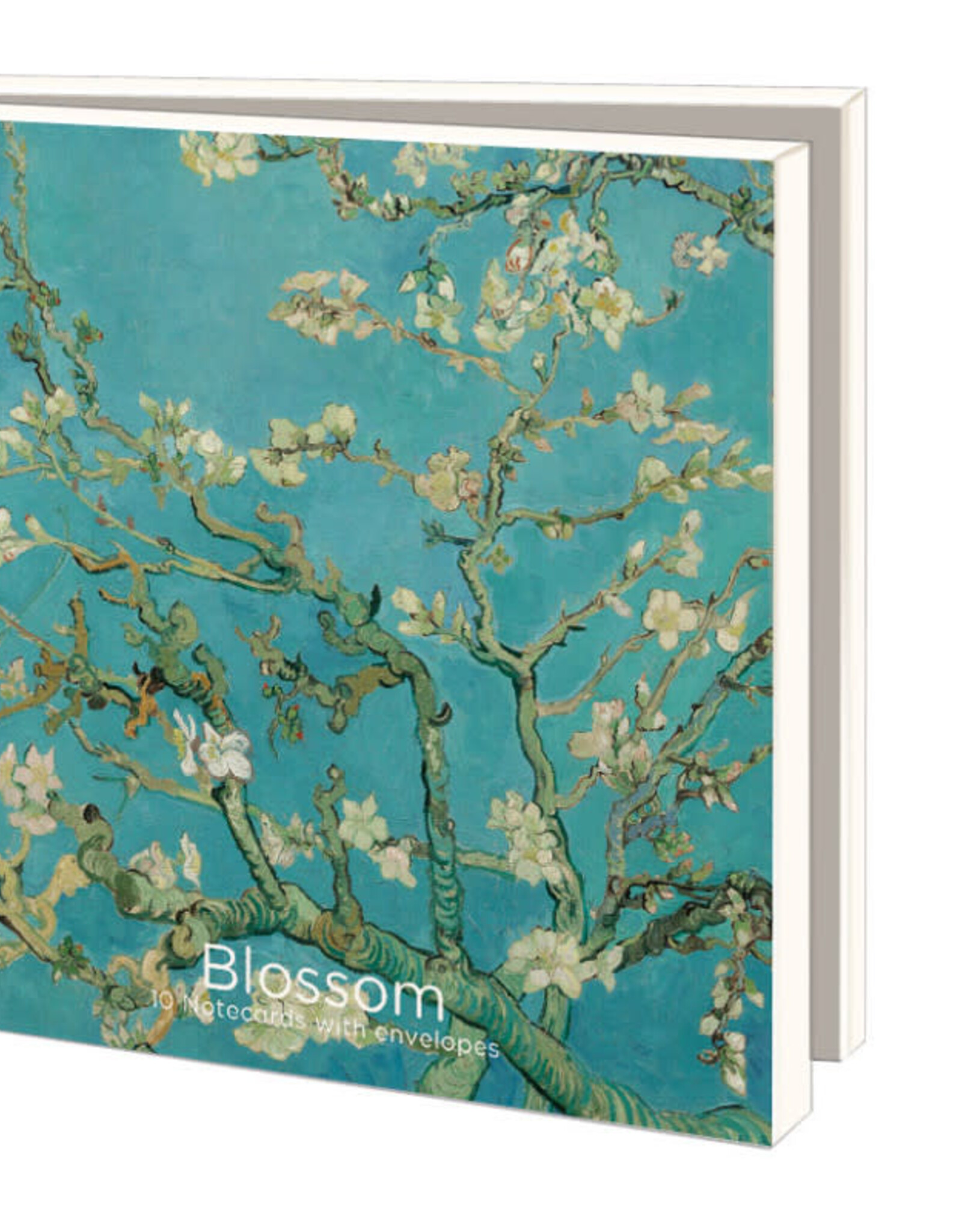Kaartenmapje met env, vierkant: Almond Blossom, Van Gogh Museum