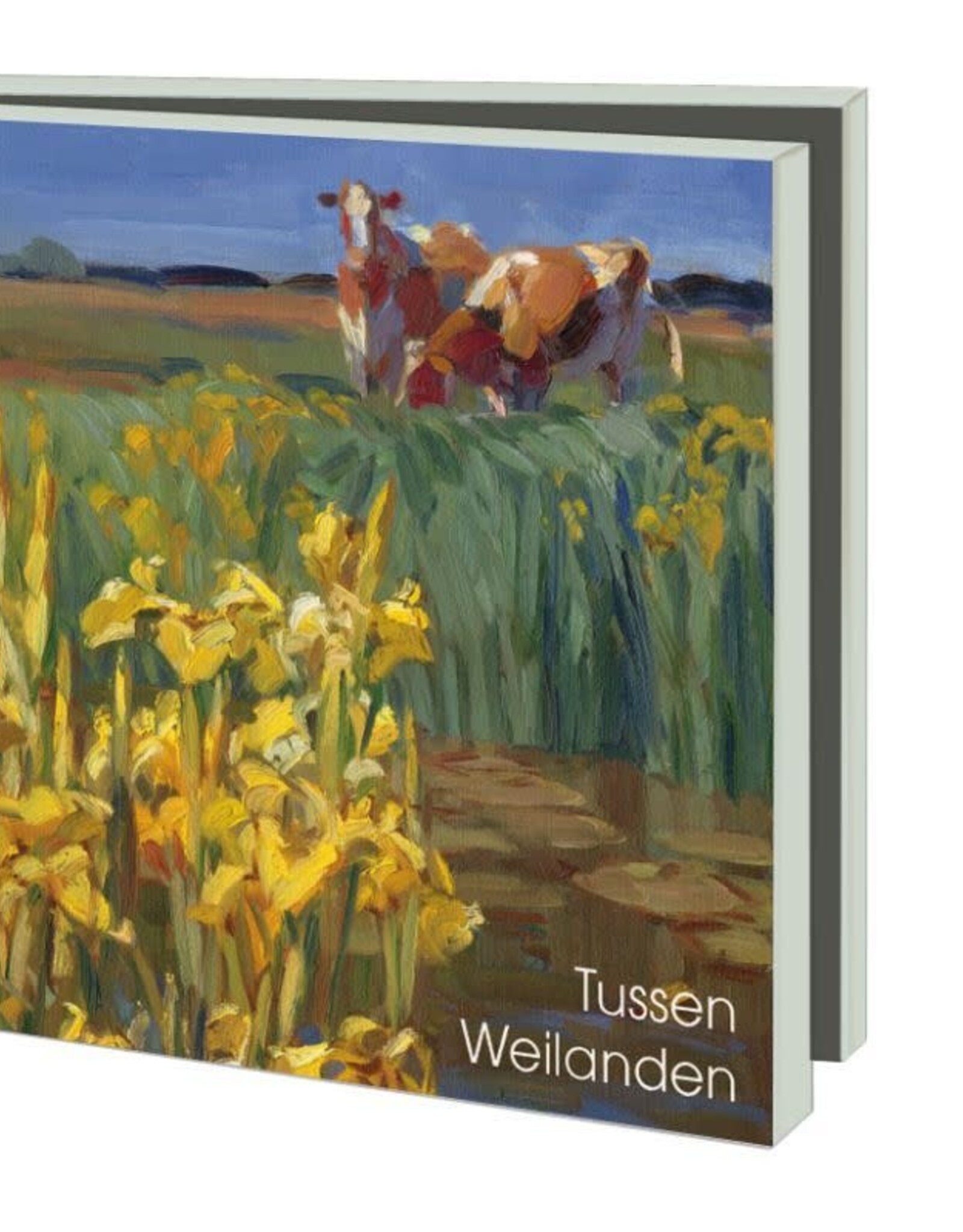 Kaartenmapje met env, vierkant: Tussen weilanden, Hans Versfelt