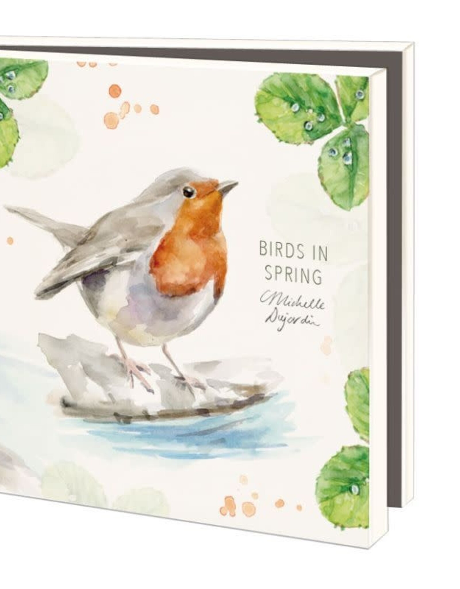 Kaartenmapje met env, vierkant:Birds in spring, Michelle Dujardin
