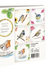 Kaartenmapje met env, vierkant:Birds in spring, Michelle Dujardin