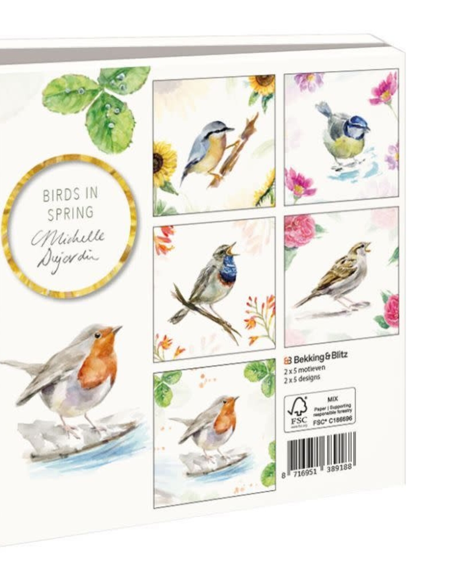 Kaartenmapje met env, vierkant:Birds in spring, Michelle Dujardin