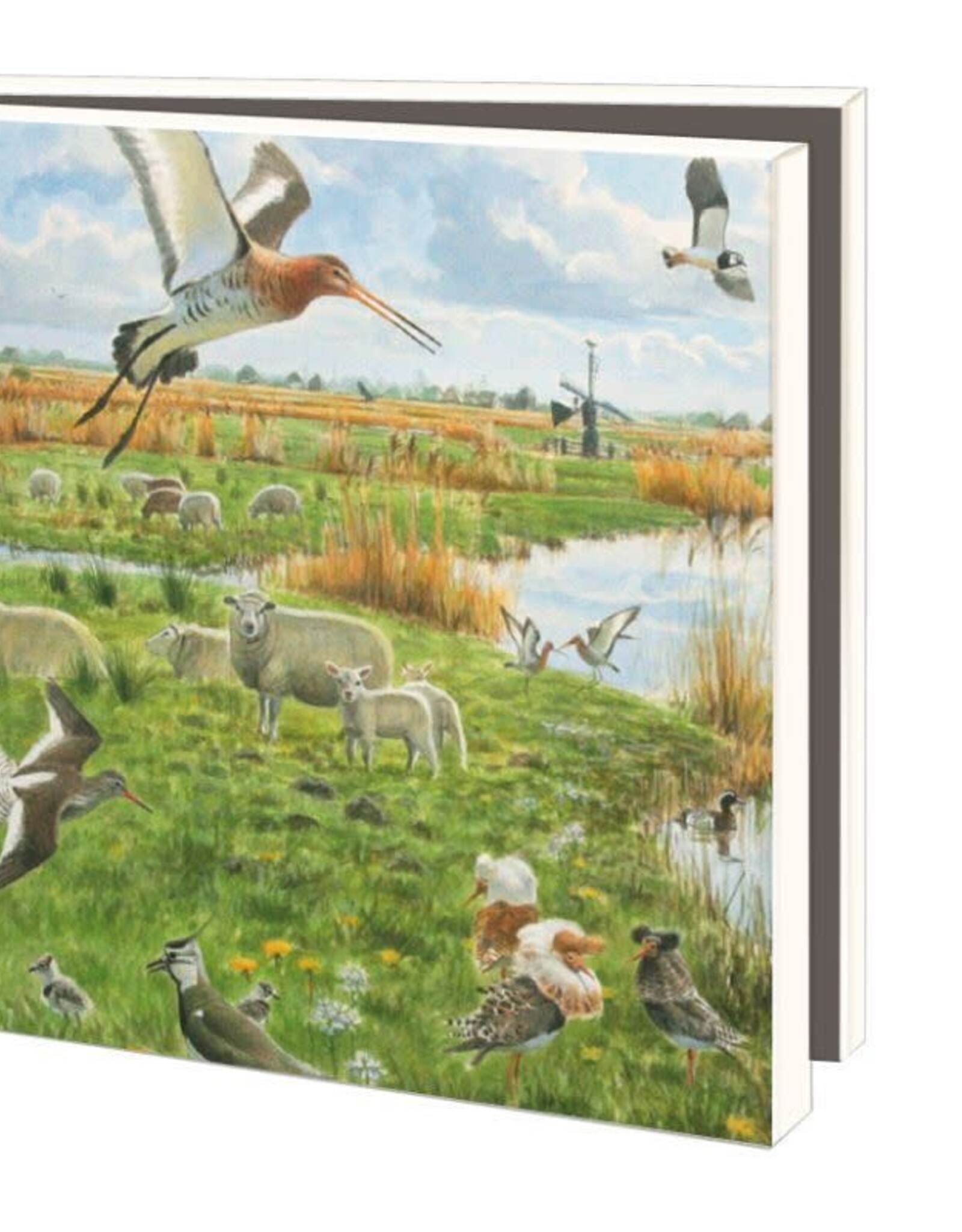 Kaartenmapje met env, vierkant:Landschappen, Elwin van der Kolk, Vogelbescherming Nederland