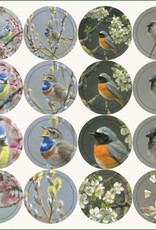 Kaartenmapje met env, vierkant: Birds and blossoms, Elwin van der Kolk