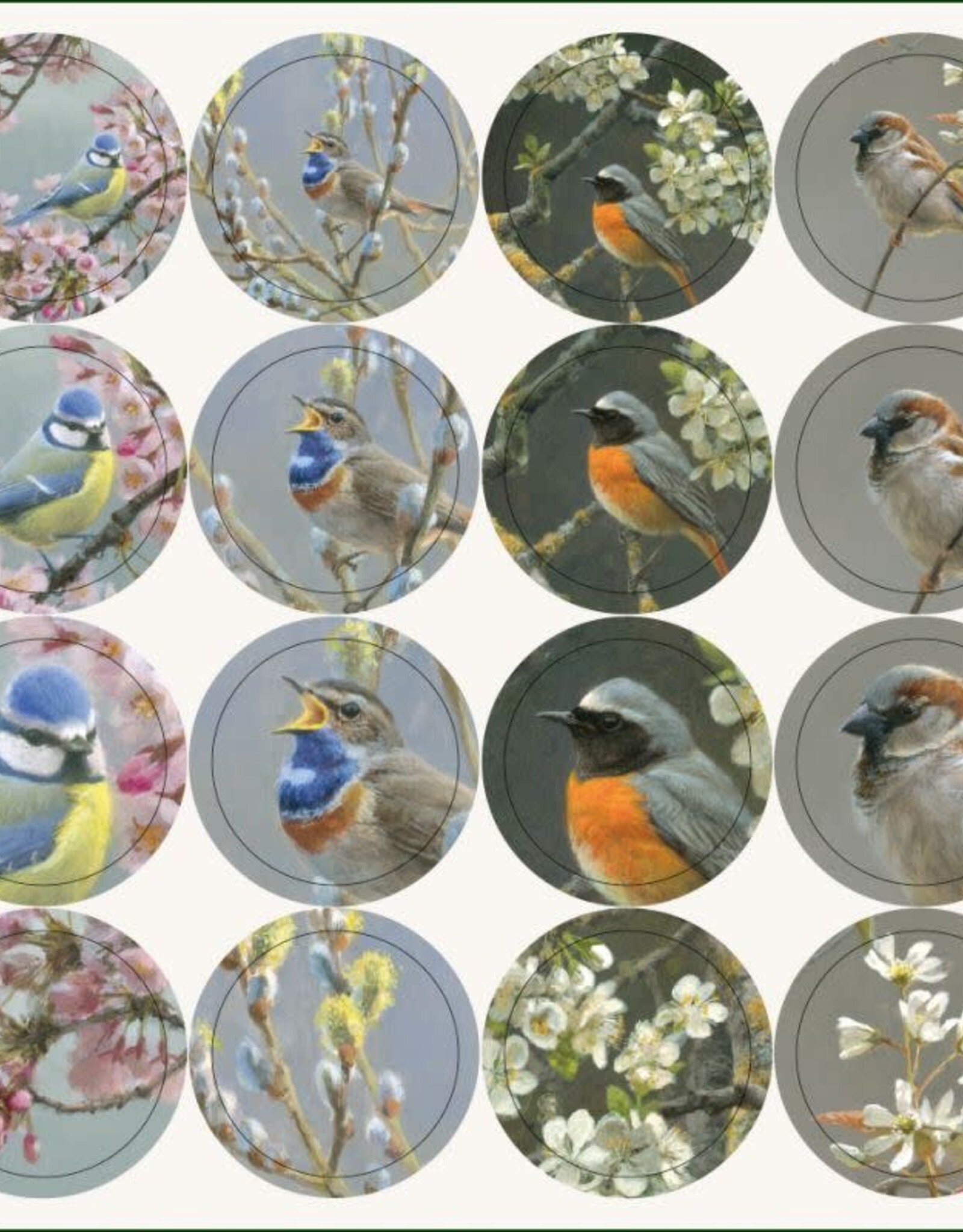 Kaartenmapje met env, vierkant: Birds and blossoms, Elwin van der Kolk