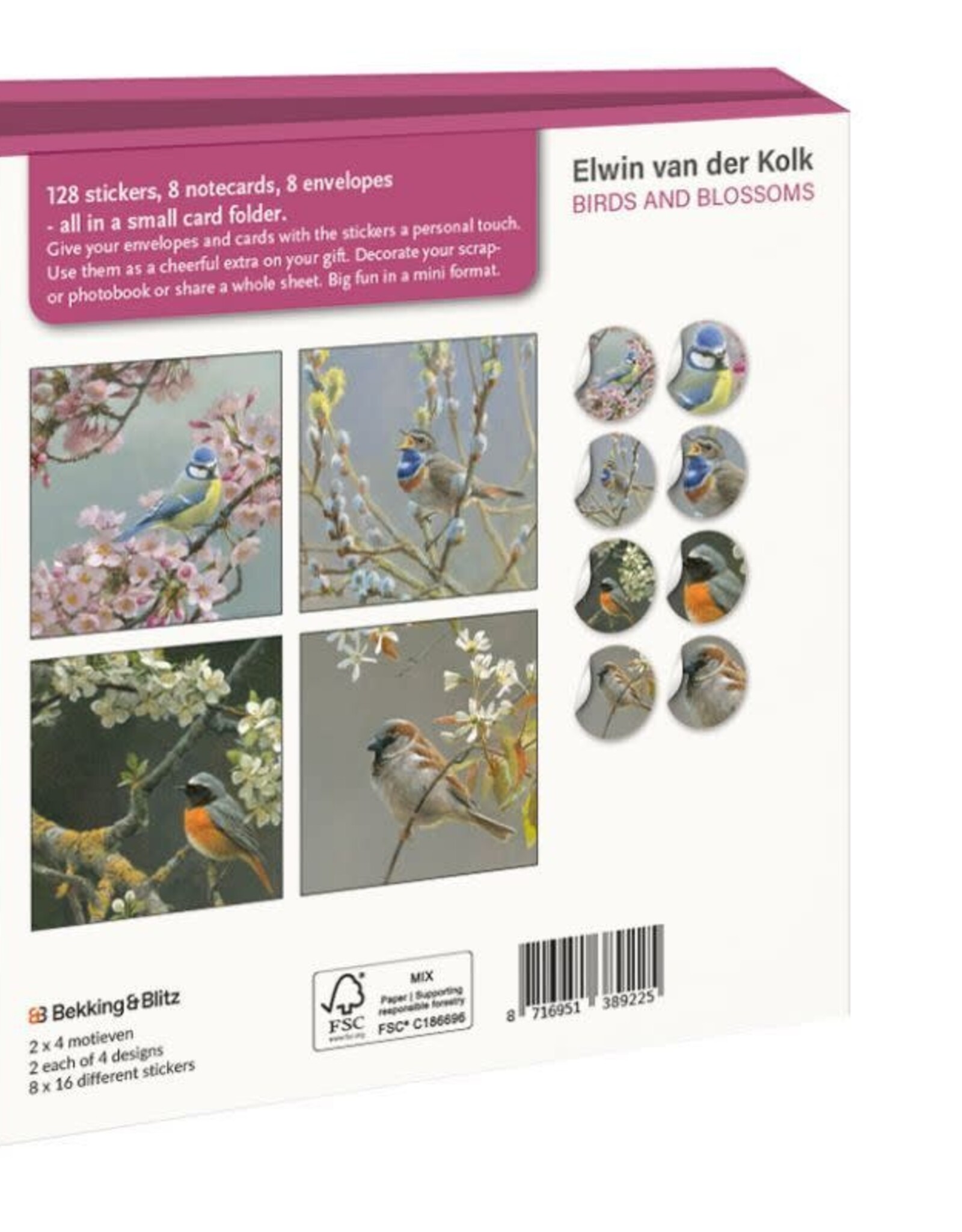 Kaartenmapje met env, vierkant: Birds and blossoms, Elwin van der Kolk