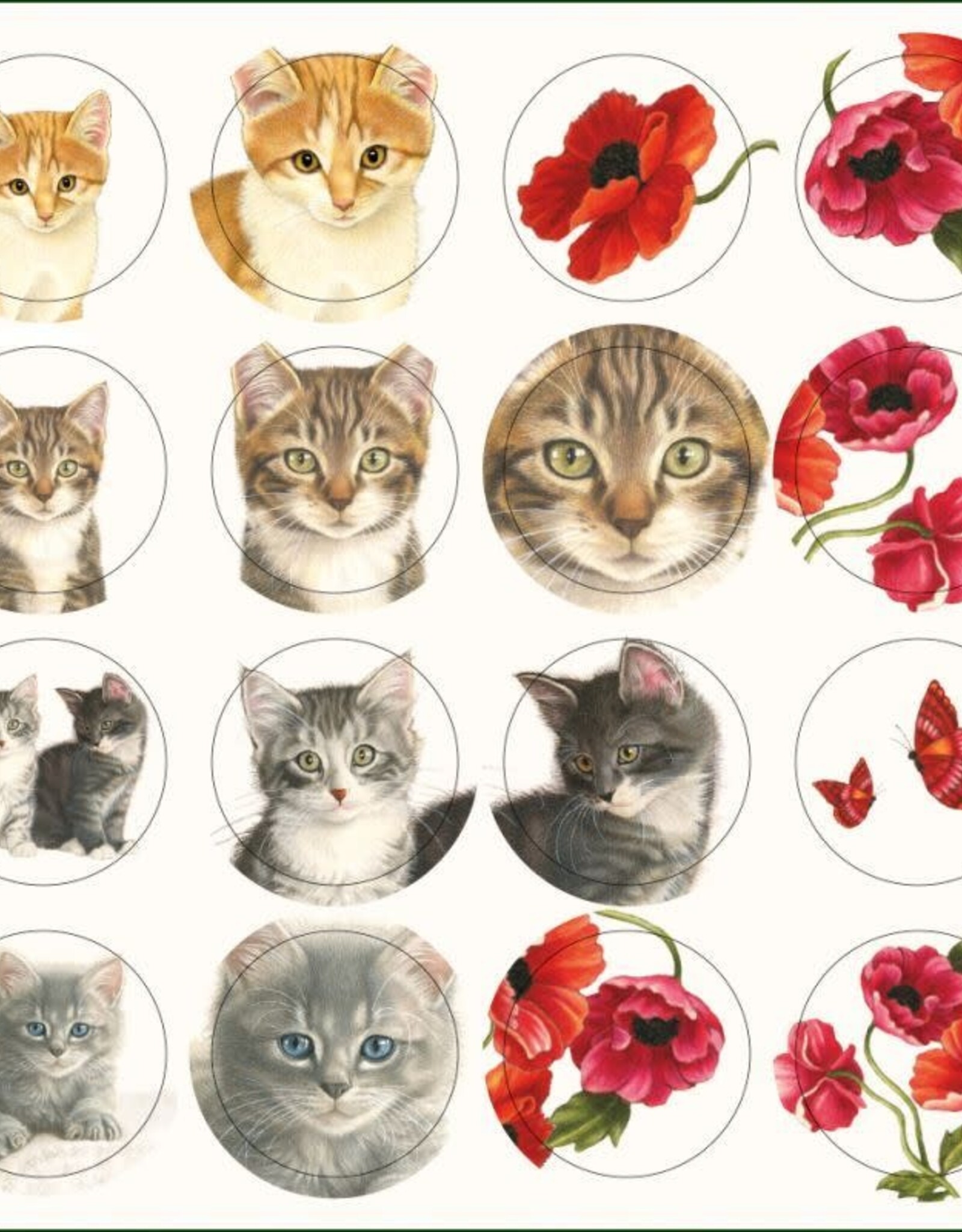 Kaartenmapje met env, vierkant: Kittens & Poppies