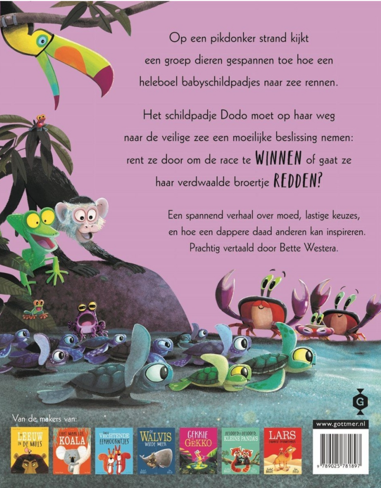 Schiet op, Schildpadjes (Prentenboek)