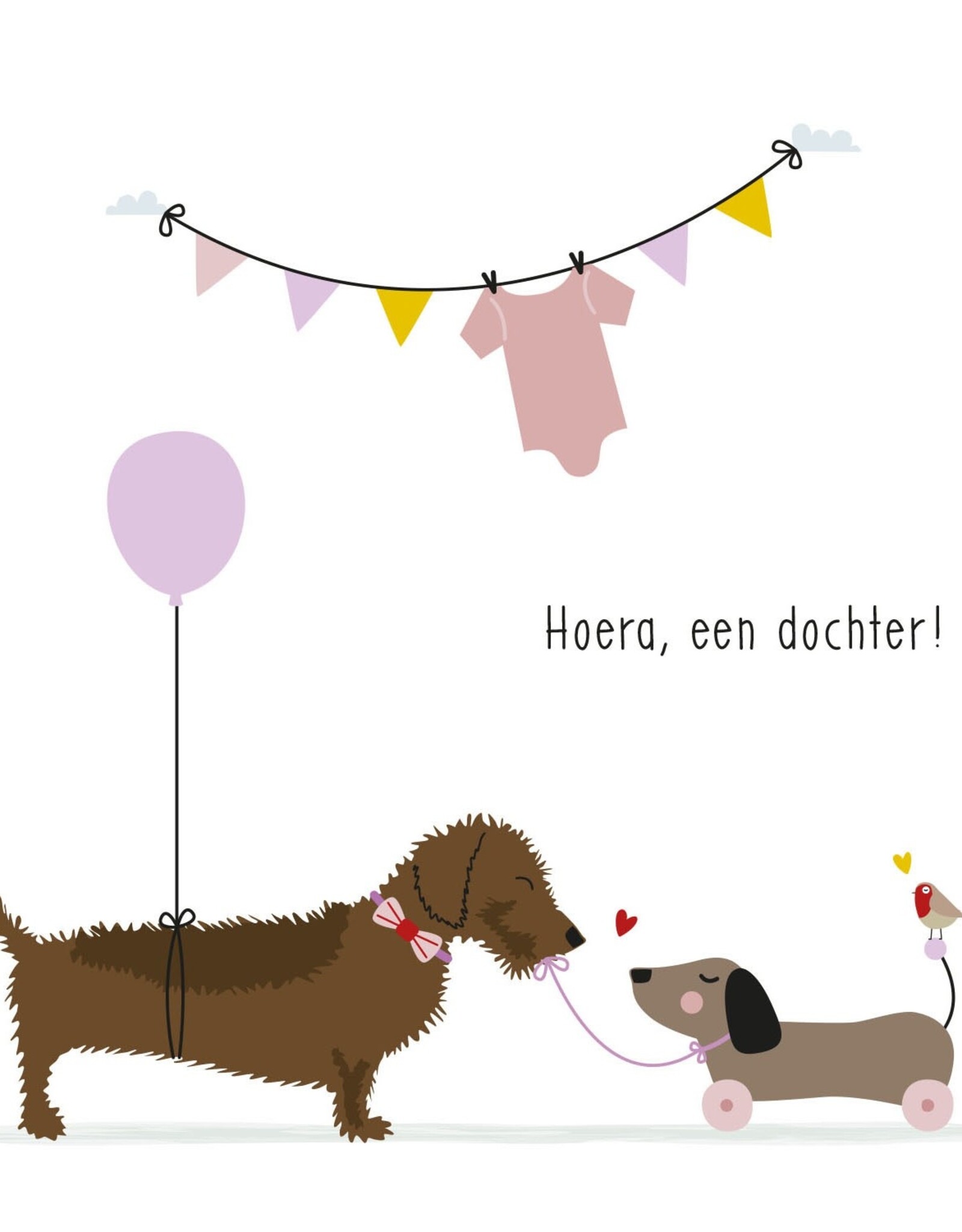 Hoera, een dochter! - Wenskaart Frits