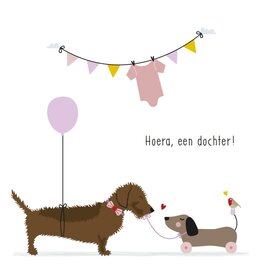Hoera, een dochter! - Wenskaart Frits