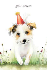 Gefeliciteerd - Wenskaart Mooz