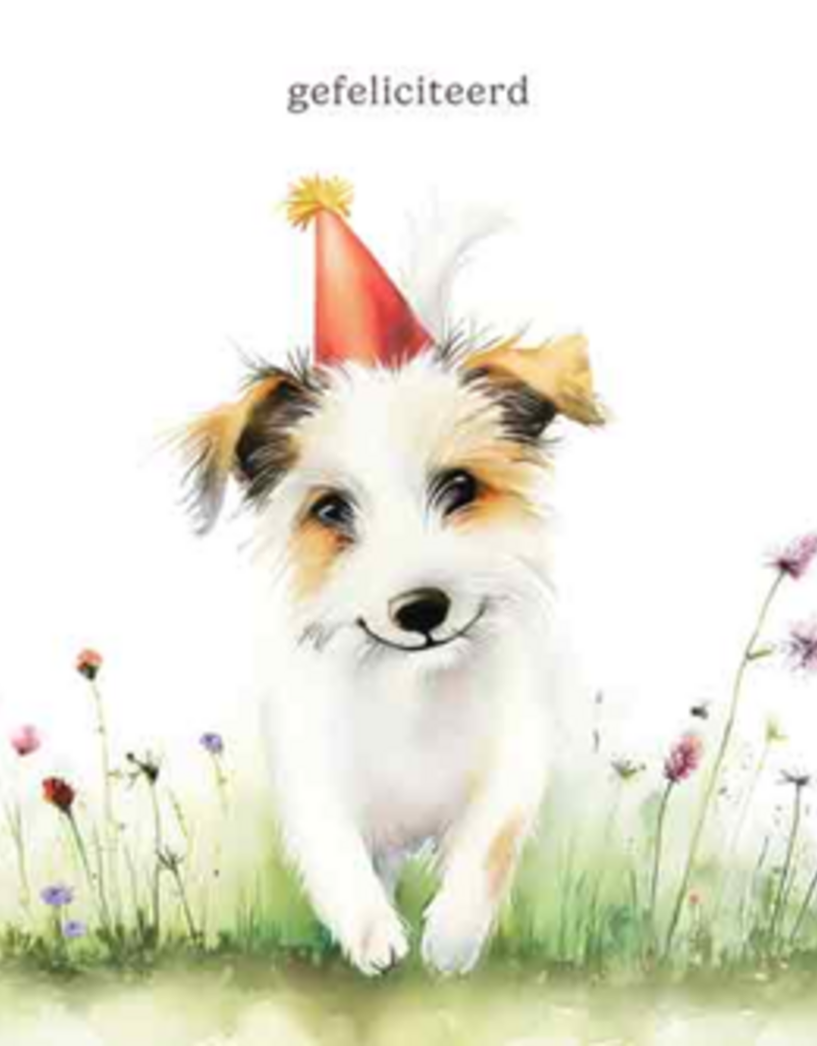 Gefeliciteerd - Wenskaart Mooz