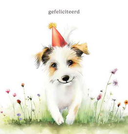 Gefeliciteerd - Wenskaart Mooz