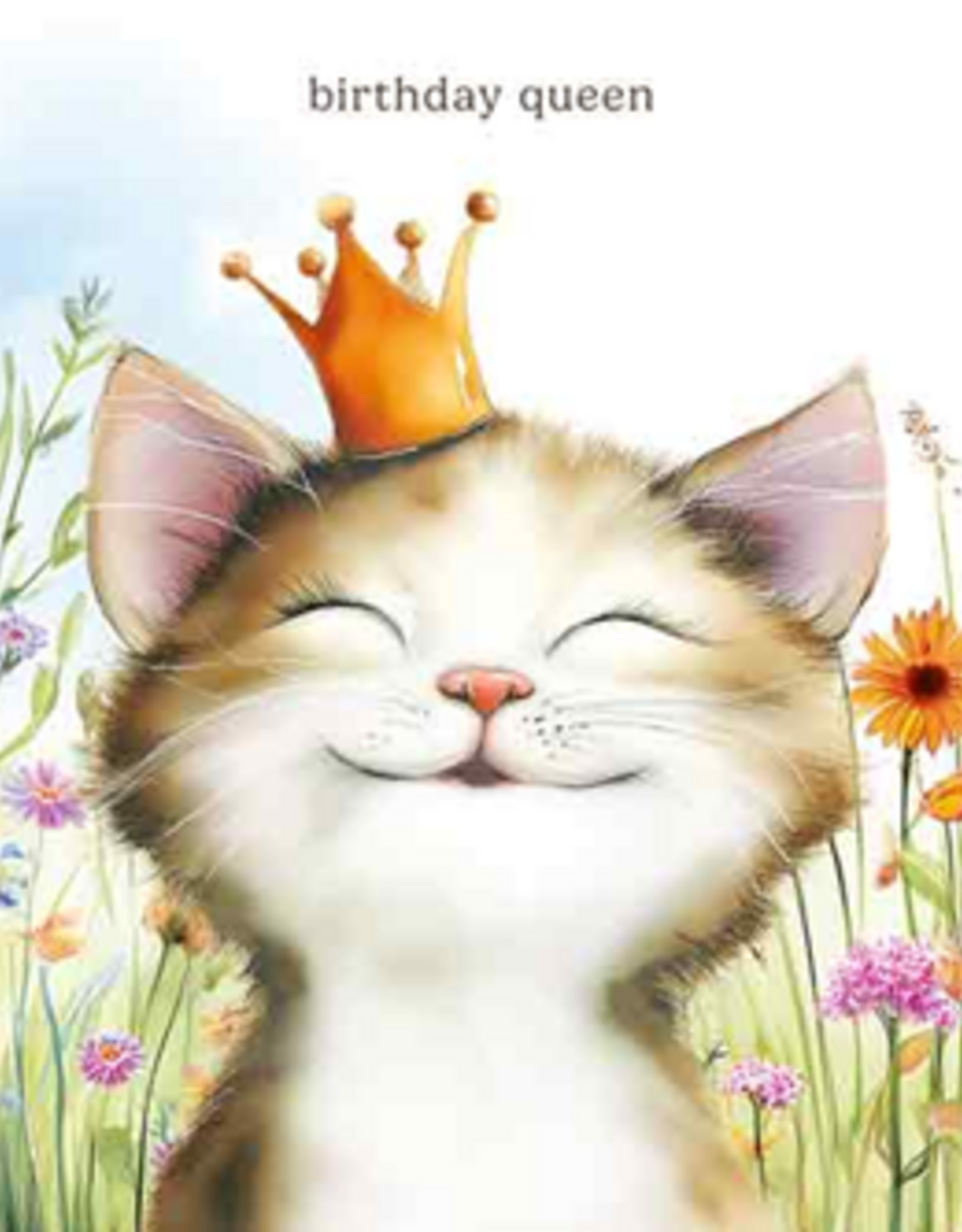 Gefeliciteerd - Wenskaart Mooz