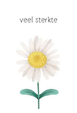 Veel Sterkte - Wenskaart Compassion