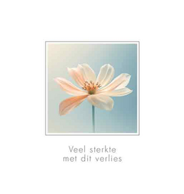Veel Sterkte met dit verlies - Wenskaart Compassion