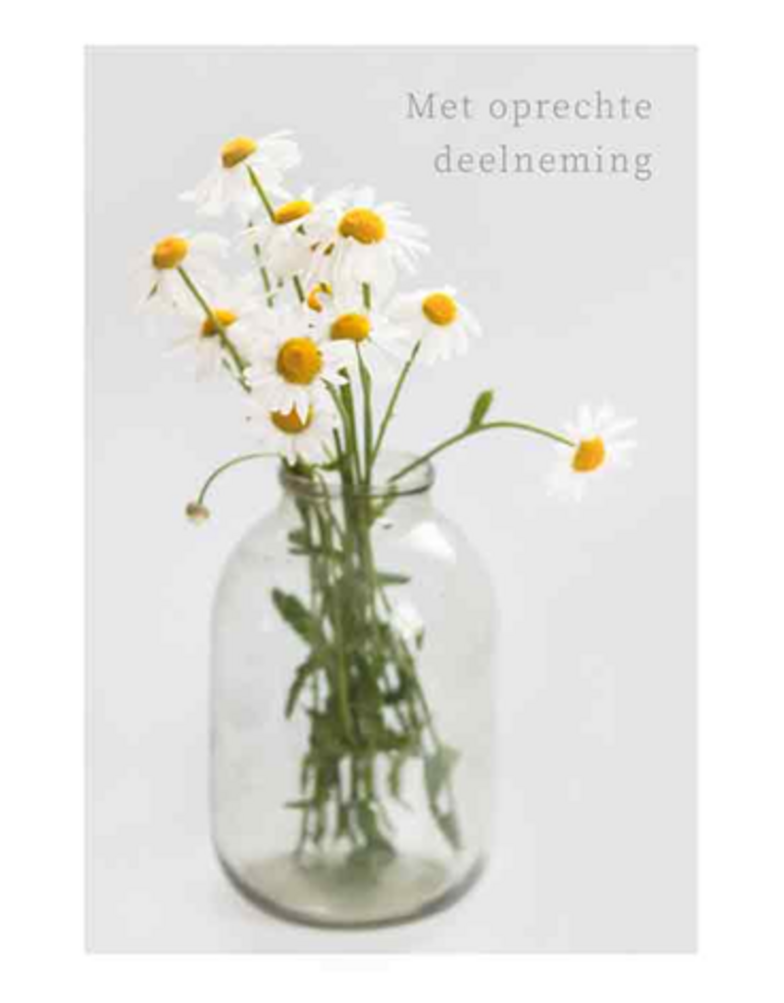 Met Oprechte Deelneming - Wenskaart Compassion