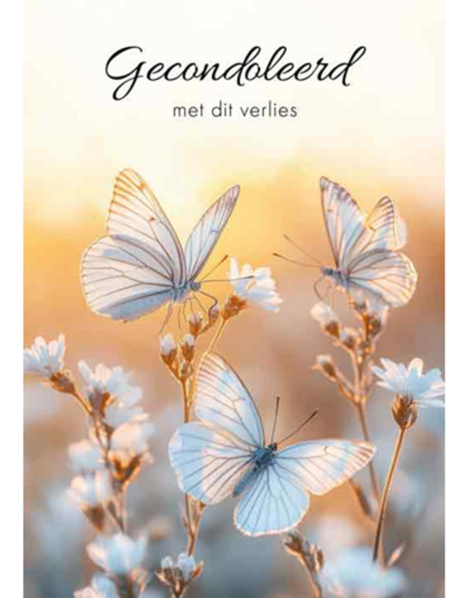 Gecondoleerd met dit verlies - Wenskaart Compassion