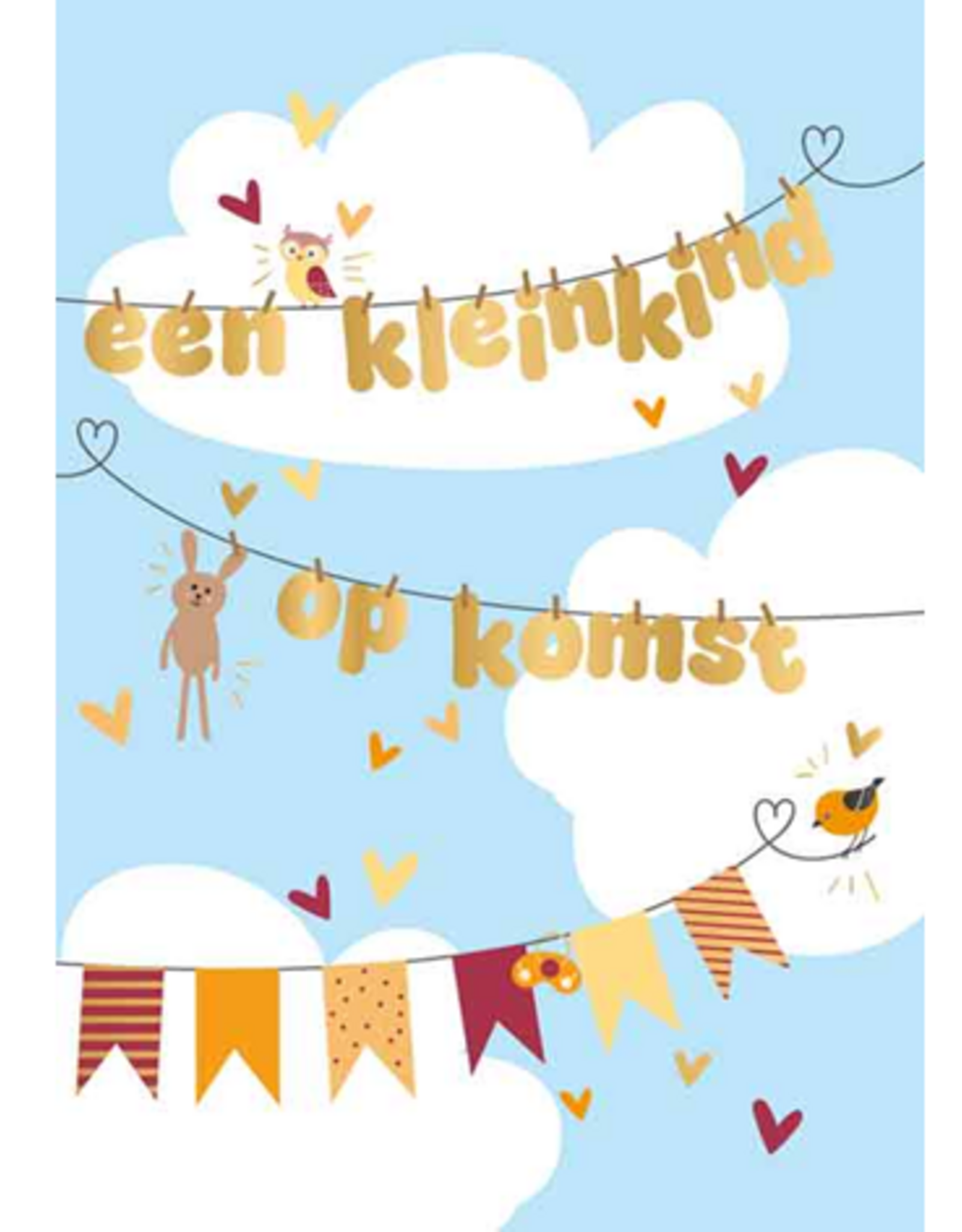 Een Kleinkind op Komst - Wenskaart Everyday
