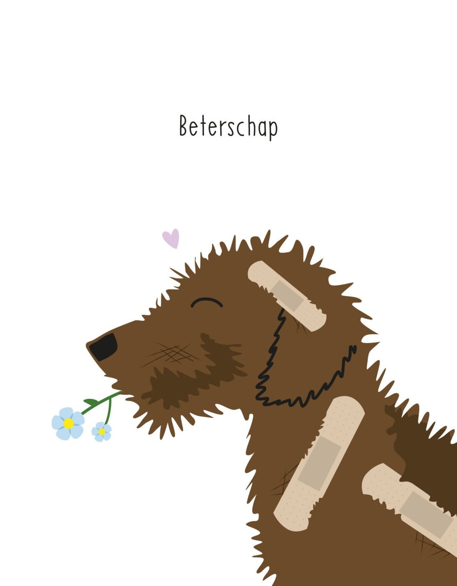 Beterschap! - Wenskaart Frits