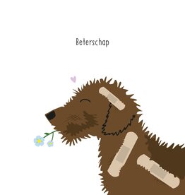 Beterschap! - Wenskaart Frits