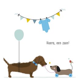 Hoera, een zoon! - Wenskaart Frits