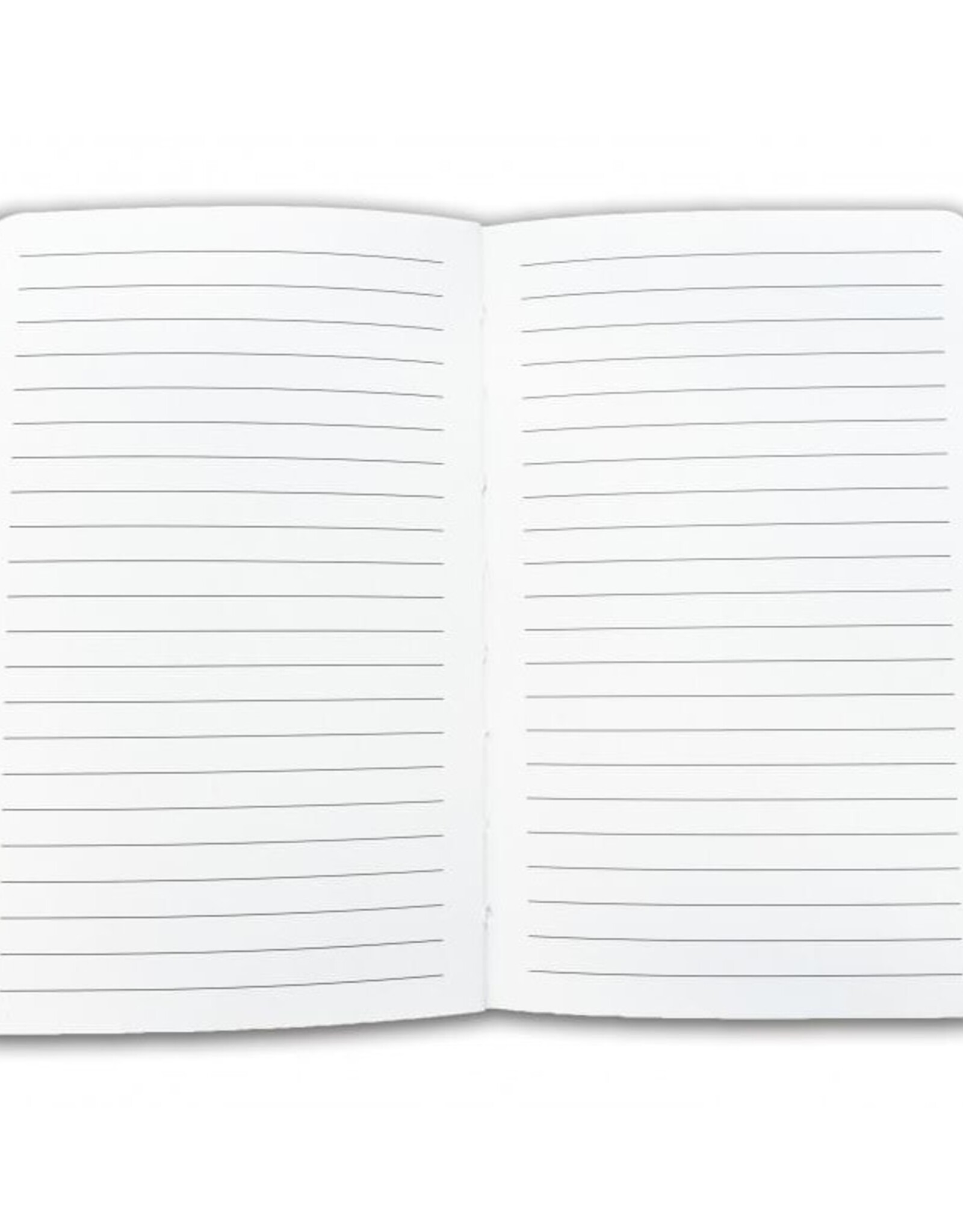 Notitieboek A6, zachte kaft: Bloemstilleven met Tulpenvaas, Roman Reisinger