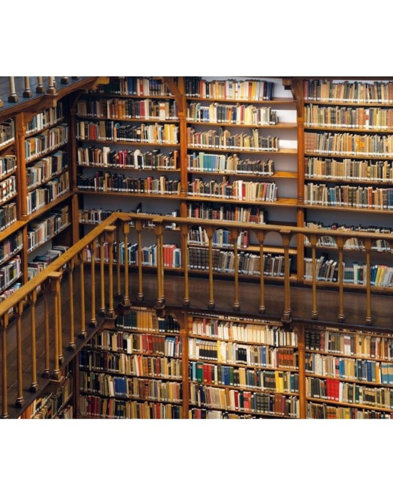 Puzzel (1.000 stukjes): Die Klosterbibliothek, Maria Laach