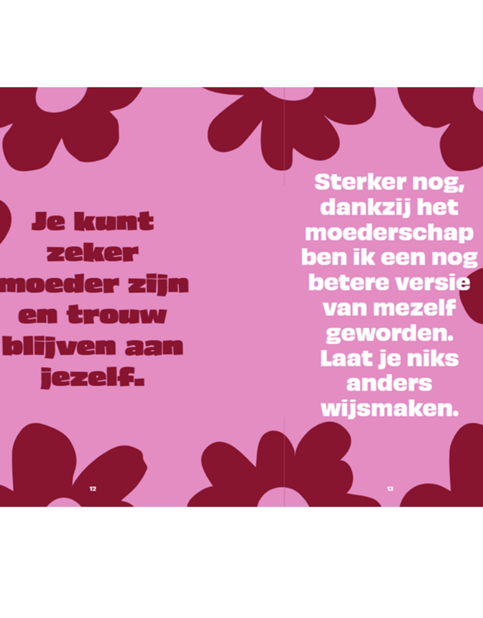 De Kersverse Moeder -  Met 101 tips