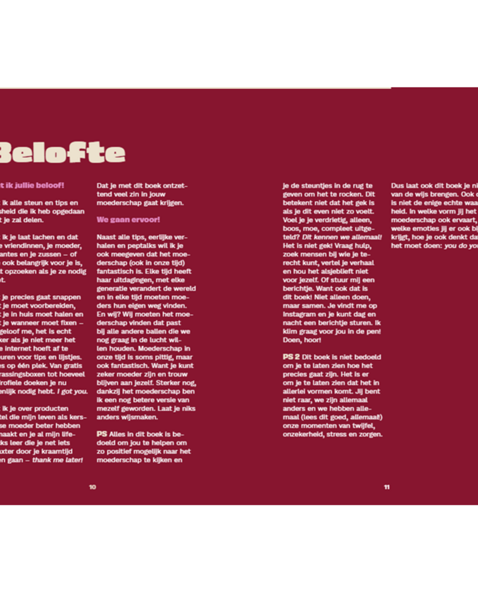 De Kersverse Moeder -  Met 101 tips