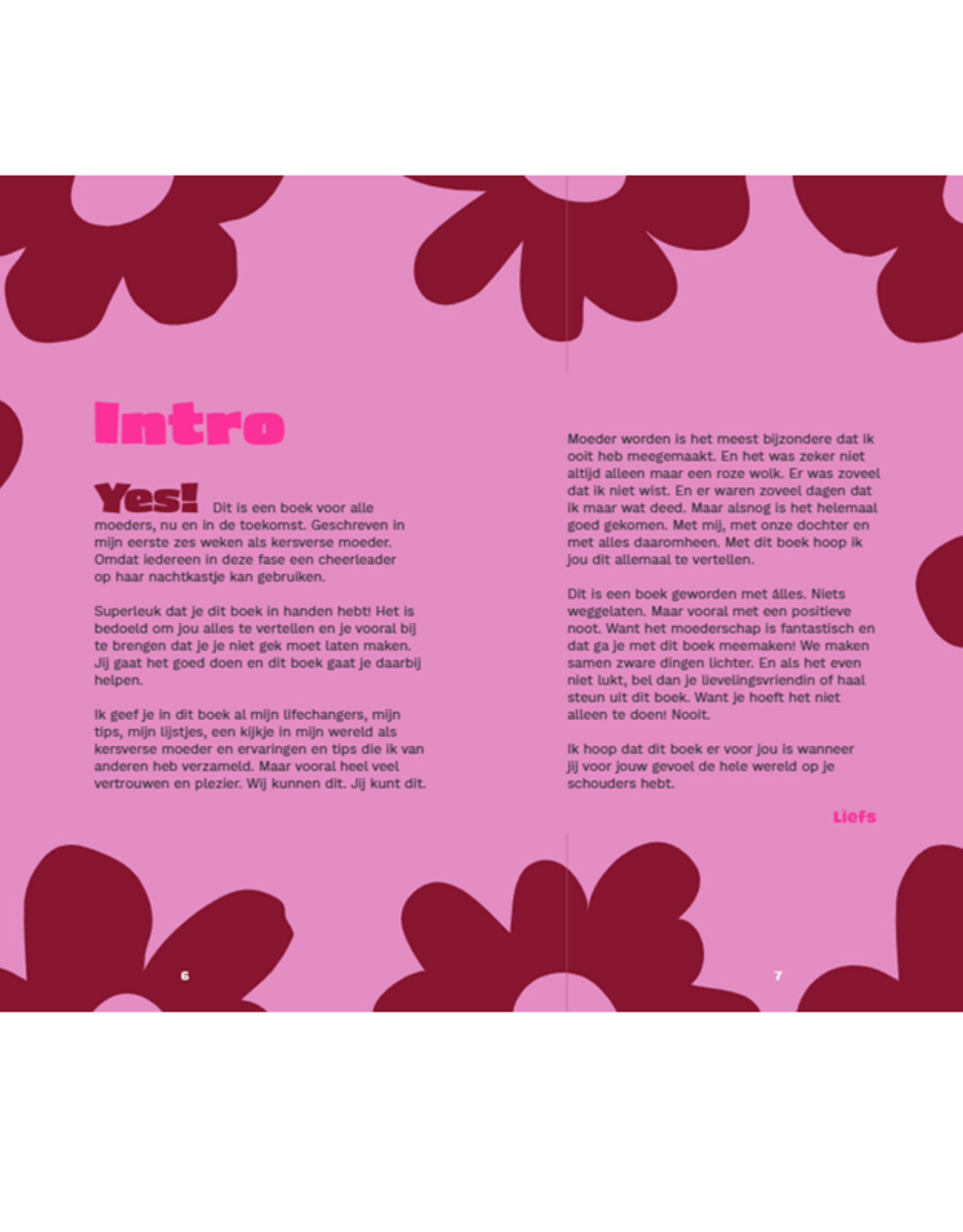 De Kersverse Moeder -  Met 101 tips