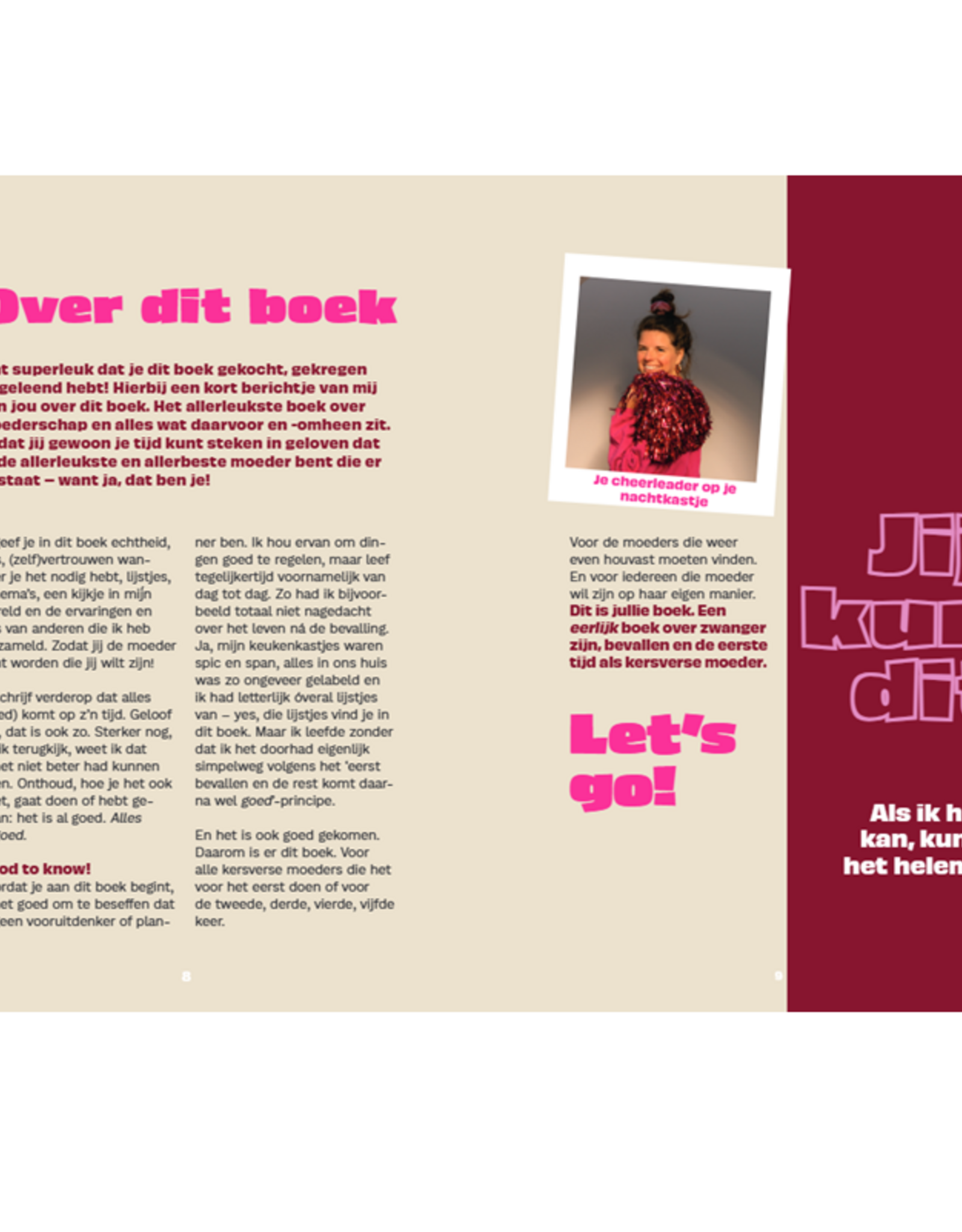 De Kersverse Moeder -  Met 101 tips