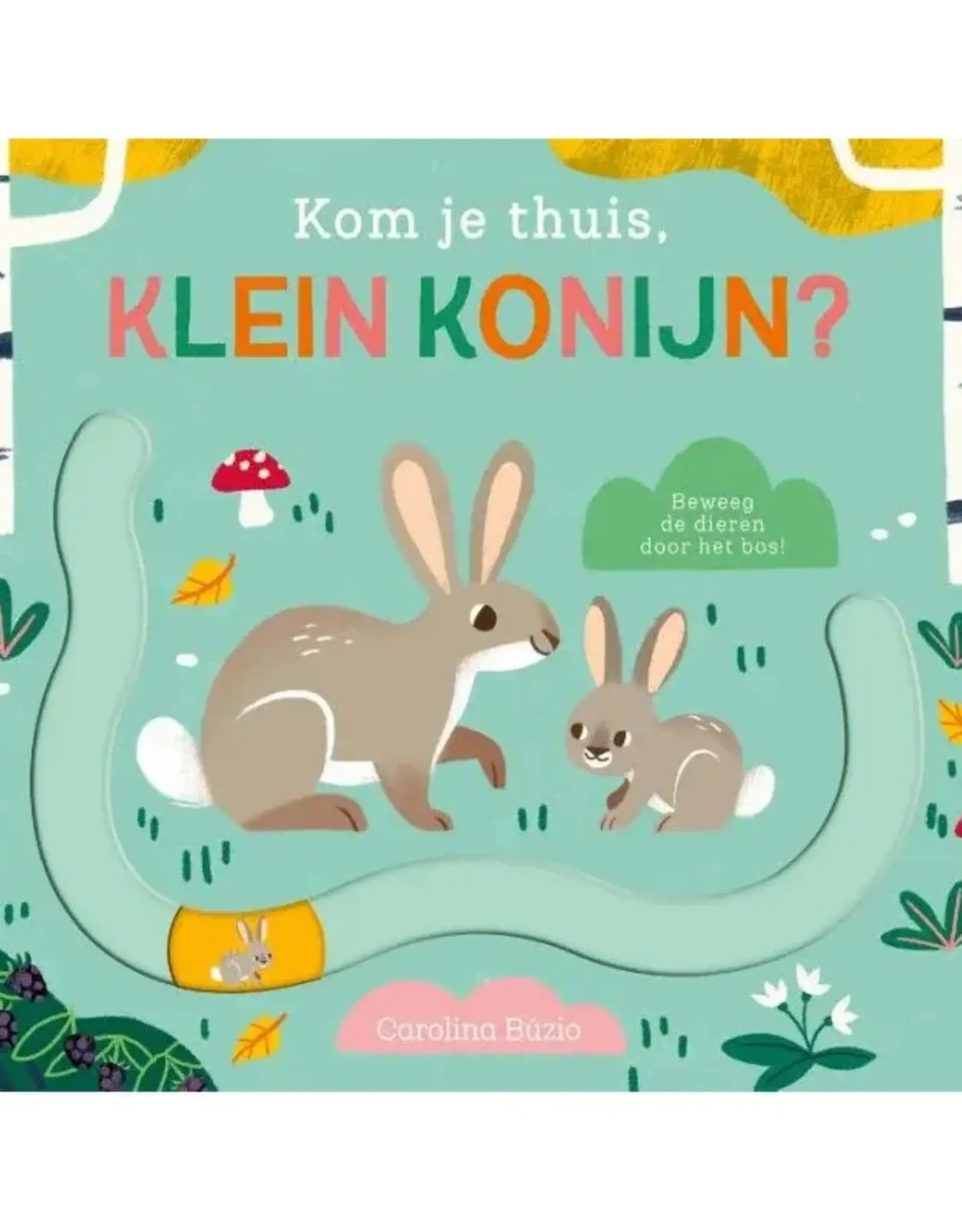 Kom je thuis, klein konijn? - Kartonboek met Schuifjes