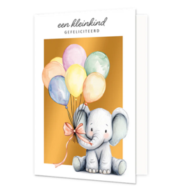 Een Kleinkind Gefeliciteerd - Wenskaart Bliss