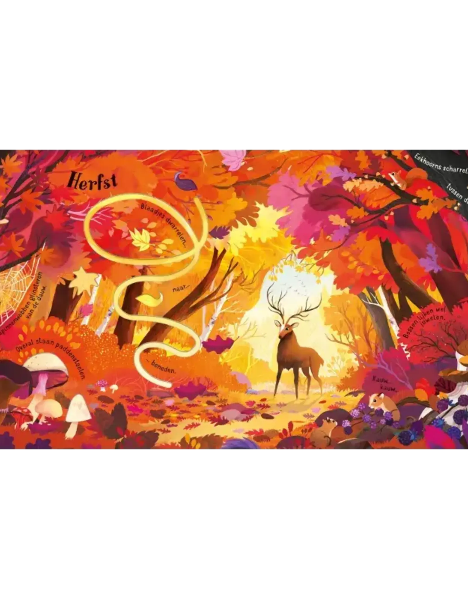 Vivaldi's De Vier Jaargetijden - Usborne
