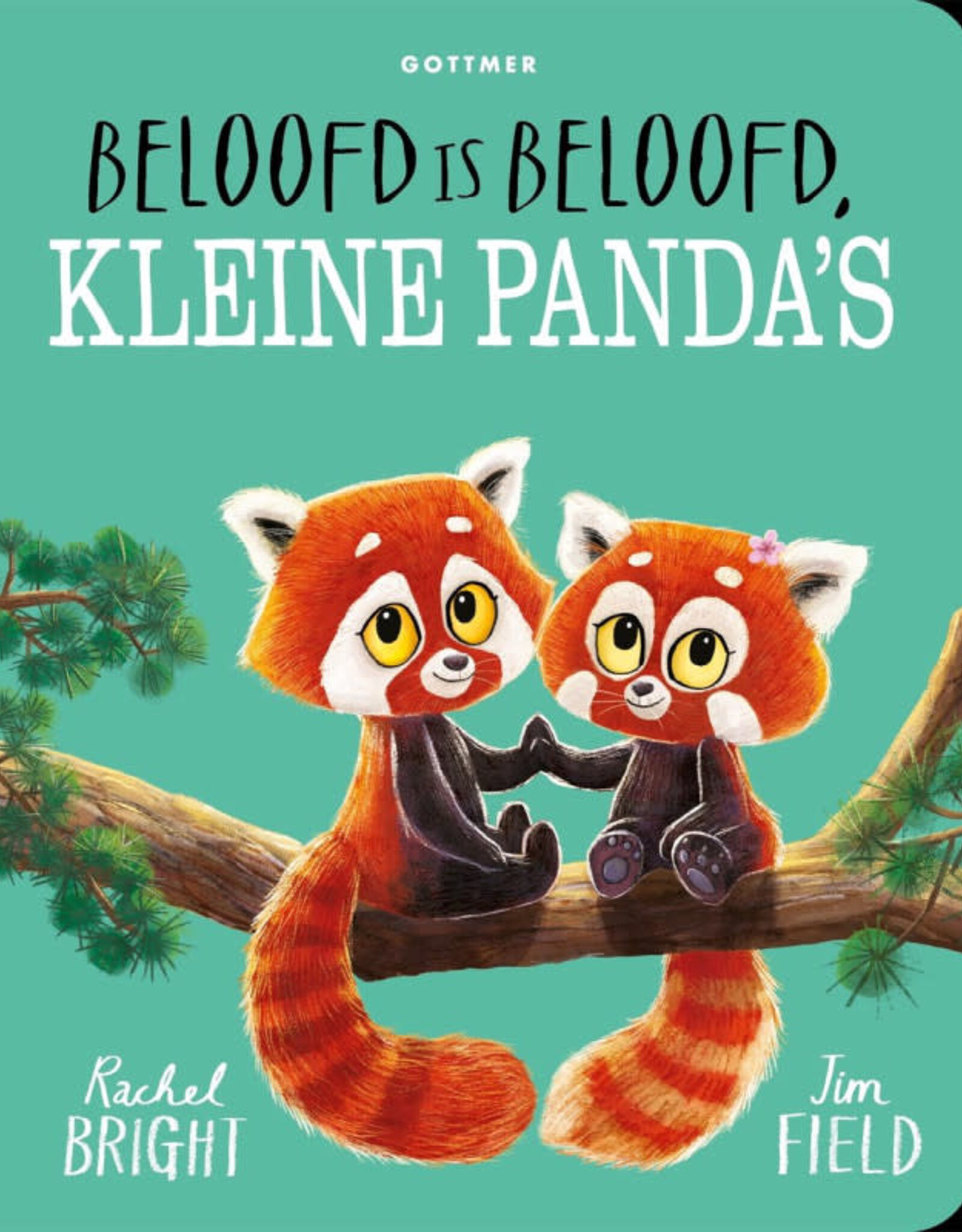 Beloofd is beloofd, kleine panda's (kartonboek)