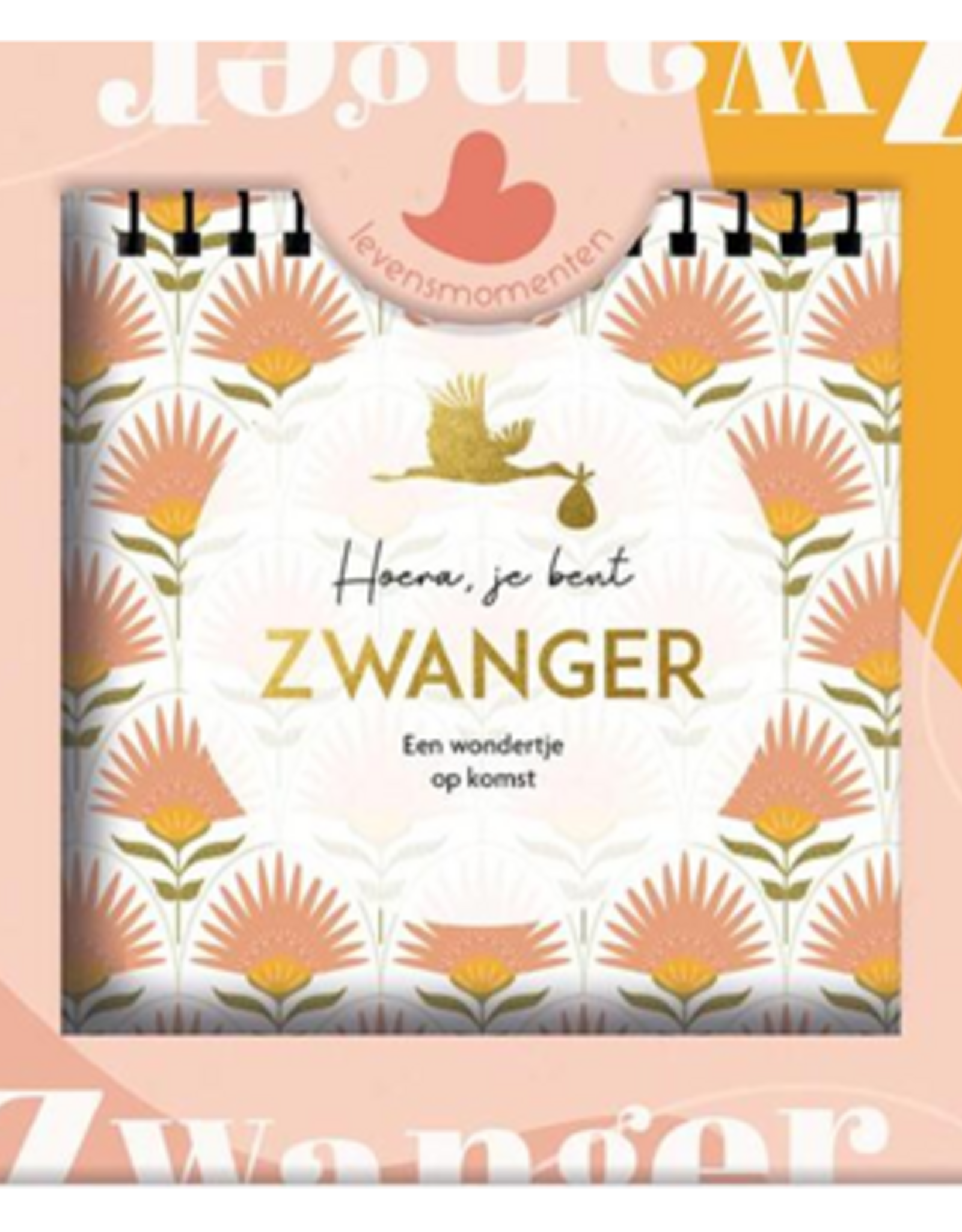Hoera, je bent Zwanger - Een wondertje op komst