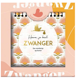 Hoera, je bent Zwanger - Een wondertje op komst