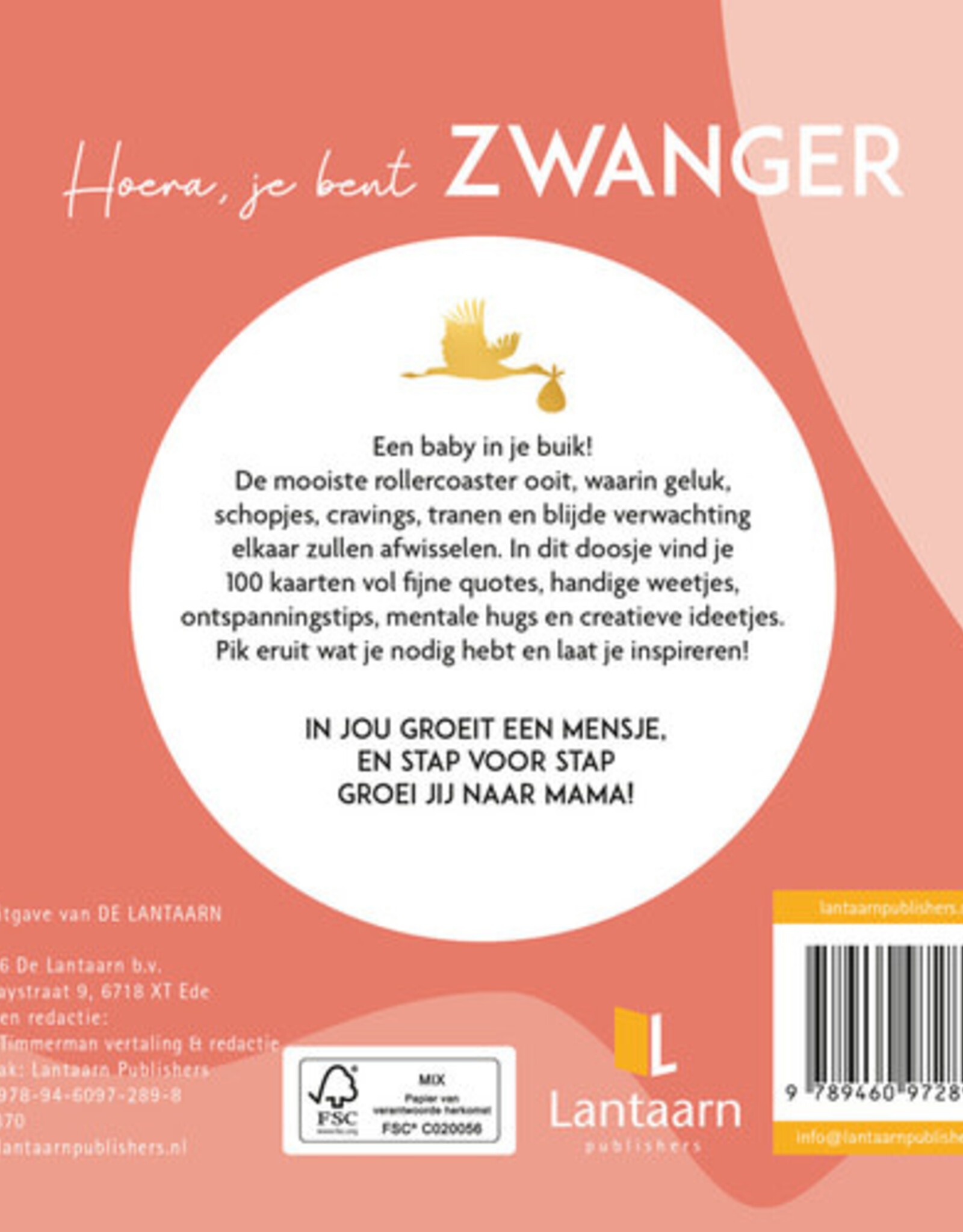 Hoera, je bent Zwanger - Een wondertje op komst