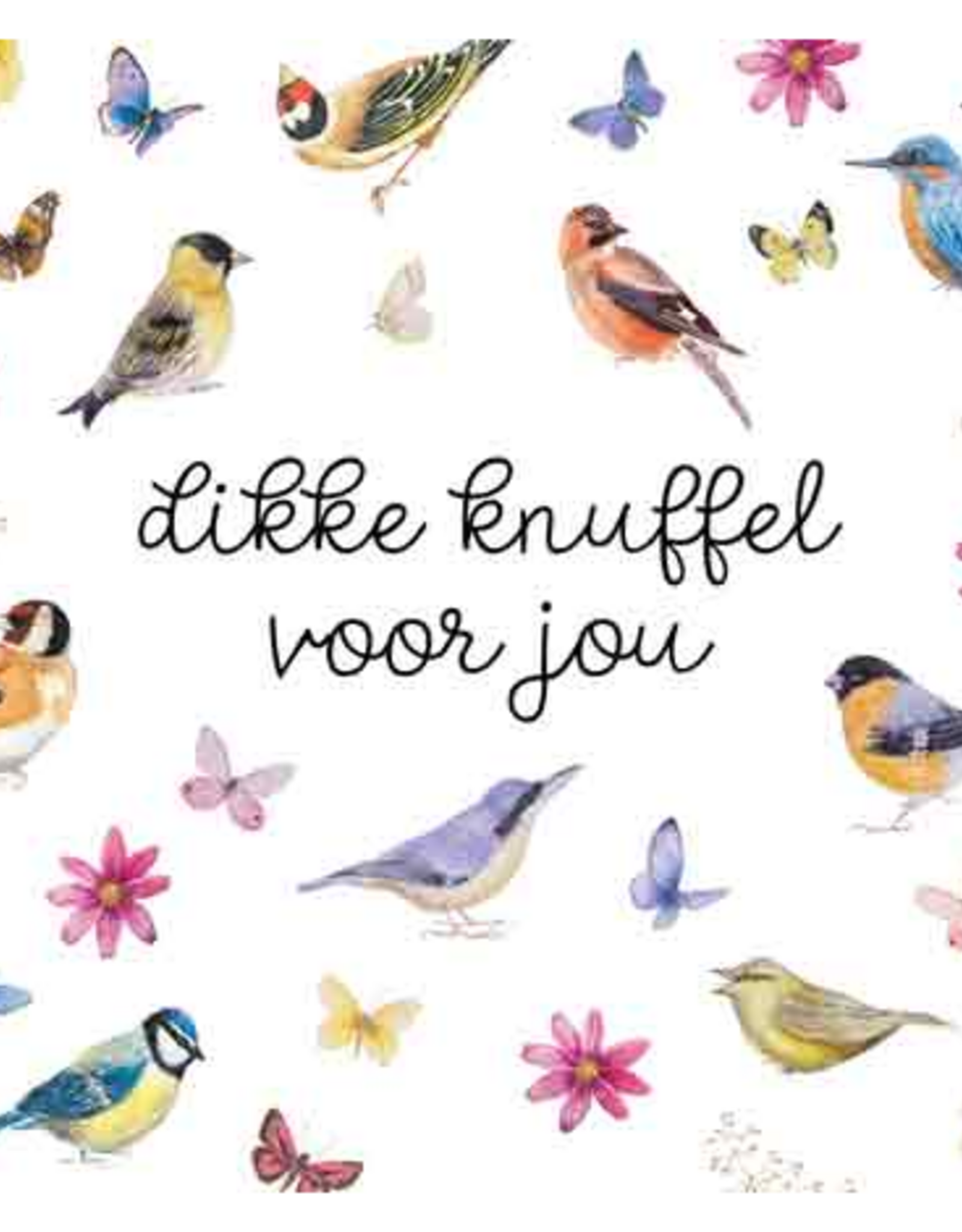 Een Dikke Knuffel voor Jou - Wenskaart Janneke Brinkman