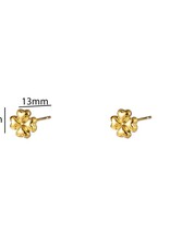 Day & Eve by Go Dutch Label Oorbellen (E56151-2) 14K goud - Day & Eve by Go Dutch Label.