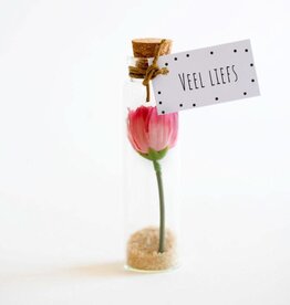 Bloemenflesje "Veel Liefs" - Sidedish