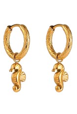 Day & Eve by Go Dutch Label Oorbellen (E61095-2) 14K goud - Day & Eve by Go Dutch Label